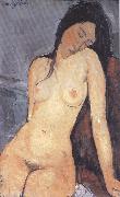 Amedeo Modigliani Seted Nude (mk39) oil painting reproduction